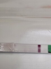 Faint line on pregnancy test: positive result or evaporation line?