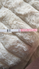 Early pregnancy test with faint lines, can anyone else see them?