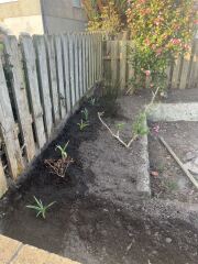 What have you done in the garden today? Part 8