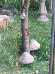 Year round Nigel Slater discussion thread - Part 3