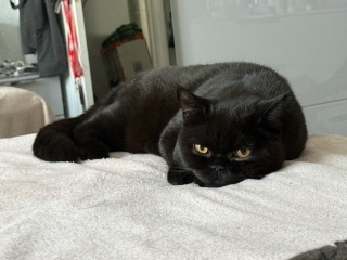 Hello from Charlie
