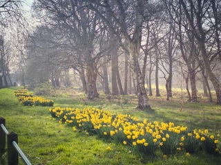 Thread 19 - TalkLair: "The light that burns twice as bright burns half as long"