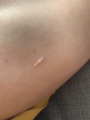 To wonder wtf this is on son?