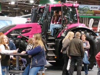 The Bluestocking  women's Pub- spring is sprunging and MN's name generator can do one!