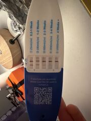 Feeling not “pregnant enough” - first time mum worries