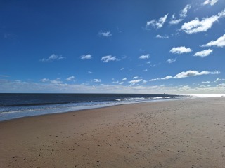 Year round Nigel Slater discussion thread - Part 3