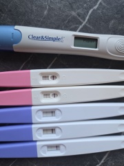 First digital pregnant second digital not pregnant but stick tests still positive