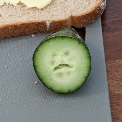 Thread 46 Starmer: Meloj kaj kastoroj sur monbiletoj, arbaro de kolero