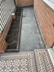 Update on front yard (before and after pictures)