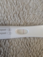 March FET 2026