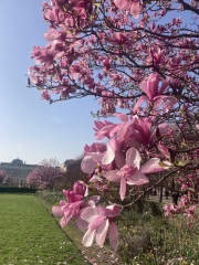 Year round Nigel Slater discussion thread - Part 3