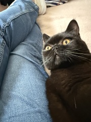 Hello from Charlie