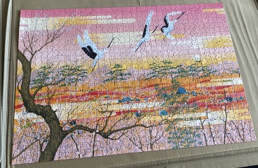 Anyone fancy another new jigsaw thread?