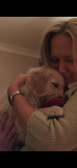 Vet advice… AIBU about costs.