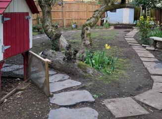 The Great Cancer Recovery part 5