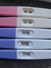 First digital pregnant second digital not pregnant but stick tests still positive