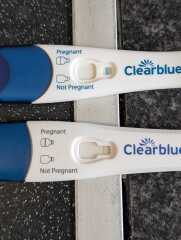 Evap lines or pregnant