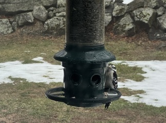 Come and tell us your dull and unexciting news 35: Calmly through the day