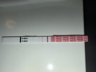 13 dpo vs 15 dpo