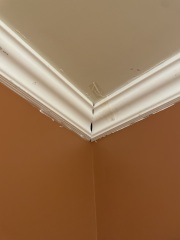 Coving - cowboy decorators what do I do?!