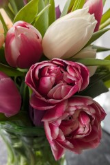 Year round Nigel Slater discussion thread - Part 3