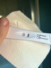 TWW feels like forever