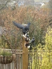 Year round Nigel Slater discussion thread - Part 3