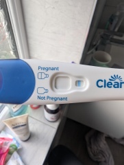 Early pregnancy test - negative?