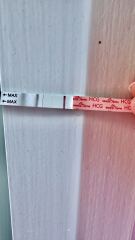 Line eyes? V early positive or evap?