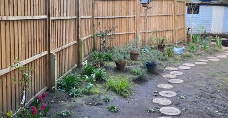 Join us in the Goose and Carrot Pub thread.