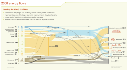 Electric cars are NOT the future, are they?