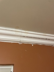 Coving - cowboy decorators what do I do?!