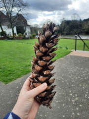 Year round Nigel Slater discussion thread - Part 3