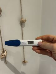 🎇 Due November 26 🎆