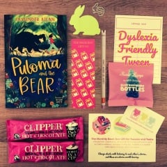 New book gift subscription for dyslexic teens: how to convert views to sales?