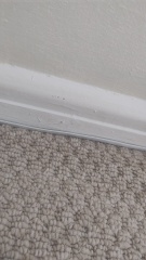 Skirting board emergency