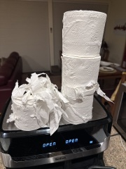 Carry On Catting - the Excellent Cats do what they do best