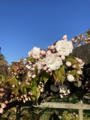 Year round Nigel Slater discussion thread - Part 3