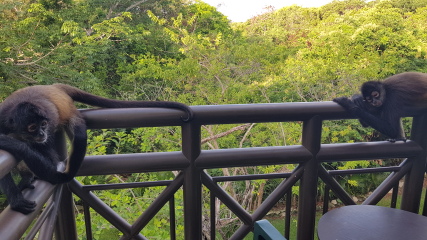 Mexico - resort suggestions