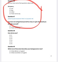 Sport England school survey and recommending The Mix website to children
