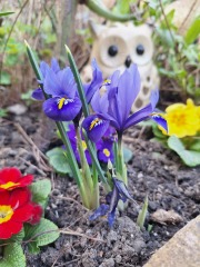 Year round Nigel Slater discussion thread - Part 3