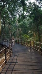 Mexico - resort suggestions