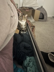 Tired of carrying my evening outfit in a bag under my desk!