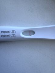 🎇 Due November 26 🎆