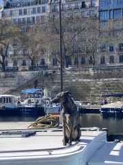 Year round Nigel Slater discussion thread - Part 3
