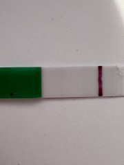 Is this a pregnancy test indent or early positive at 10-11 DPO?