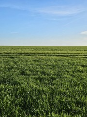 The Bluestocking Inn, cocktails and cocoa and all