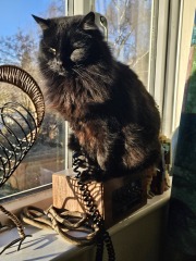 Tired of carrying my evening outfit in a bag under my desk!