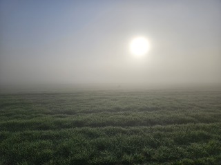 The Bluestocking Inn, cocktails and cocoa and all