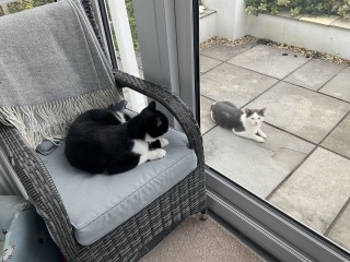 Tired of carrying my evening outfit in a bag under my desk!